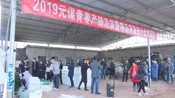 元謀蔬菜種業(yè)博覽會 拓展交流打造綠色食品牌，文化藝術(shù)交流活動增添新活力